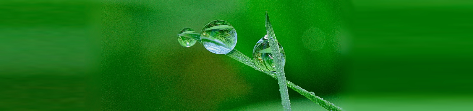 Impacto tema Medio Ambiente