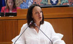 Susín, en el pleno