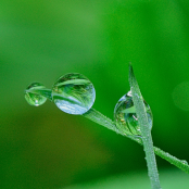 Medio Ambiente