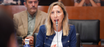 La diputada popular, Susana Cobos