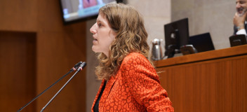 La diputada popular, Silvia Casas