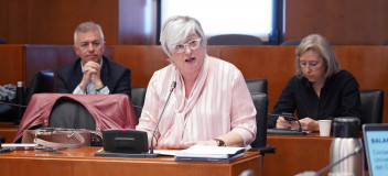 Gayán, durante la comisión