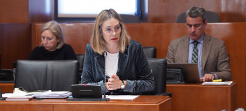 Sainz, en la comisión de Institucional