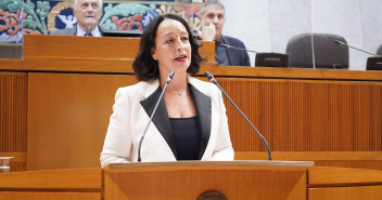Susín, en en pleno de Presupuestos 2023