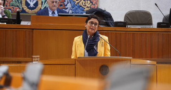 Marín, en el pleno