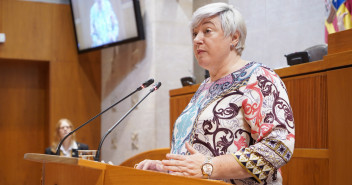 Gayán, durante la interpelación en el pleno de las Cortes