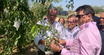 Azcón, Juste y Herrero, justo a otros cargos del Partido Popular, visitando una explotación de melocotones en Calanda