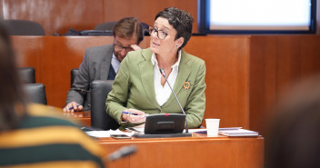 Ana Marín, en una Comisión de Sanidad de las Cortes de Aragón