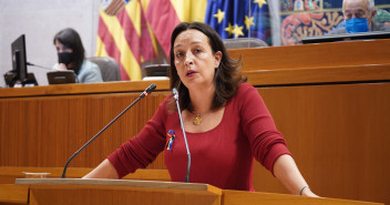 Susín ha interpelado a Pérez Anadón en el Pleno