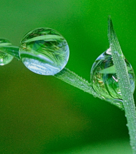 Impacto tema Medio Ambiente