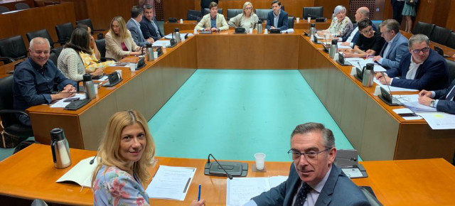 Primera reunión del Grupo Parlamentario antes de que comience la X legislatura