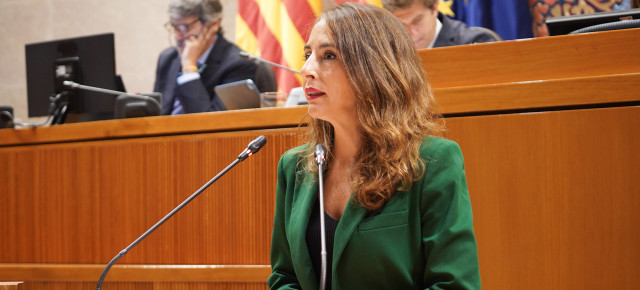 María Navarro, portavoz adjunta del PP en las Cortes de Aragón