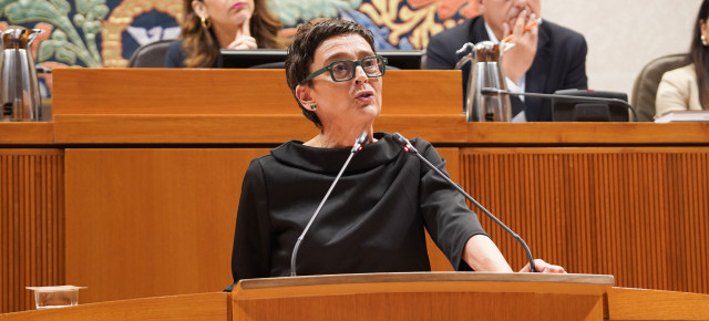 La portavoz popular, Ana Marín