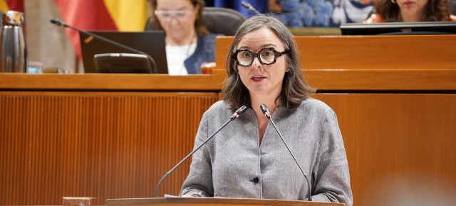 La portavoz adjunta del PP, María José Vicente