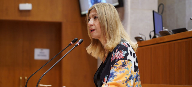 Vaquero, durante la interpelación a la consejera Pérez