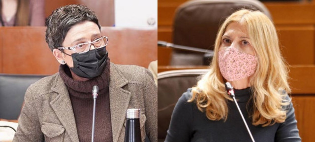Ana Marín y Mar Vaquero han solicitado una comisión de la Sanidad aragonesa