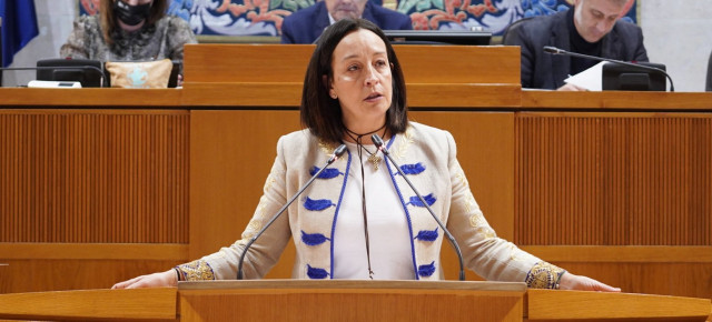 Susín, en el pleno de Presupuestos