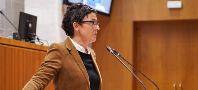 La portavoz adjunta y portavoz de Institucional del PP, Ana Marín
