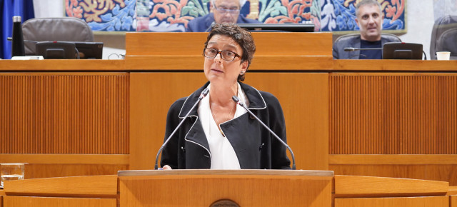 Marín, durante la comparecencia de la consejera Repollés