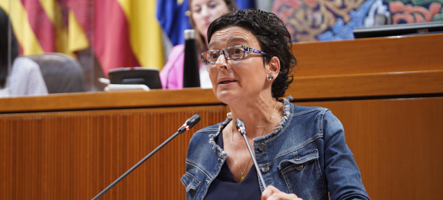 Marín durante la interpelación a la consejera de Sanidad