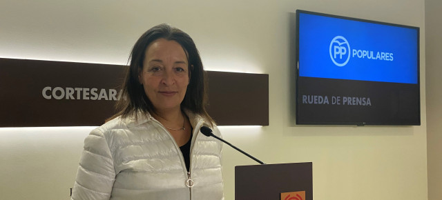 Susín durante la rueda de prensa