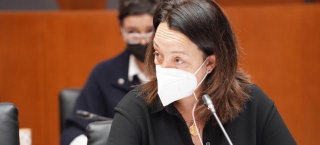 Susín en la comisión de Sanidad