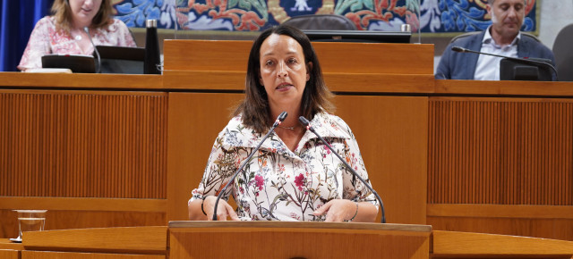 Susín, en el pleno de las Cortes