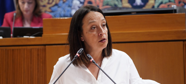 Susín, en el pleno