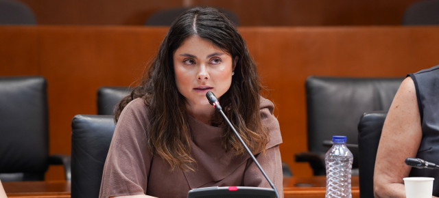 La diputada popular, Lucía Baruquer