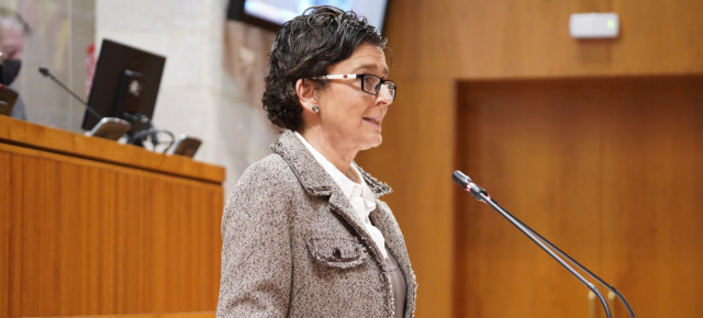 Ana Marín ha interpelado a la consejera de Sanidad en el pleno