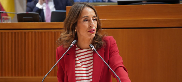 María Navarro, portavoz adjunta del Partido Popular