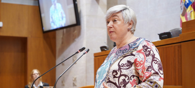 Gayán, durante la interpelación en el pleno de las Cortes