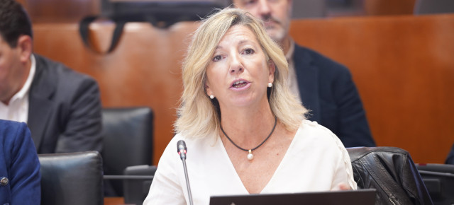 La portavoz de Hacienda del PP, Blanca Puyuelo