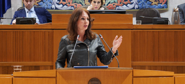 Carmen Herrarte, portavoz adjunta del PP