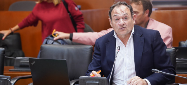 El diputado popular, Luis José Arrechea