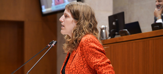 La diputada popular, Silvia Casas