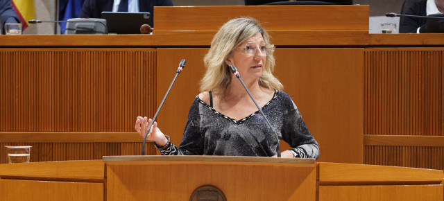 La portavoz de Hacienda del Partido Popular, Blanca Puyuelo