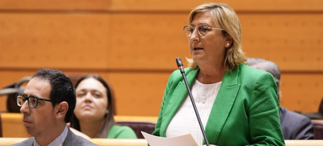 Carmen Pobo en su pregunta a la vicepresidenta Ribera en el pleno del Senado