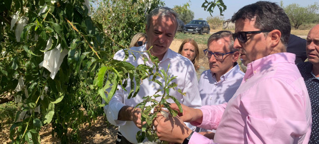 Azcón, Juste y Herrero, justo a otros cargos del Partido Popular, visitando una explotación de melocotones en Calanda