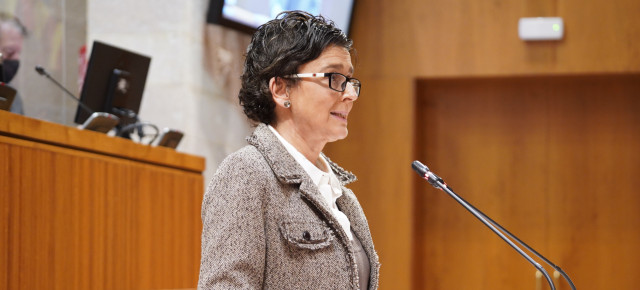 Ana Marín durante una intervención en las Cortes de Aragón