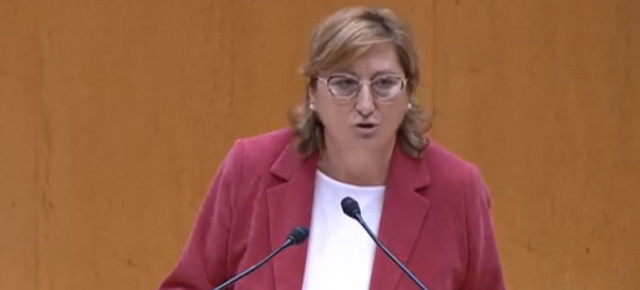 La senadora del Partido Popular, Carmen Pobo, durante su intervención en el pleno del Senado