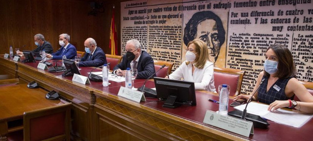 Raquel Clemente durante su intervención en la Comisión de Despoblación del Senado