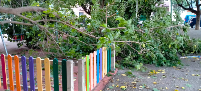 Una rama de grandes dimensiones ha caído sobre un parque infantil en la plaza Jaca de Utebo