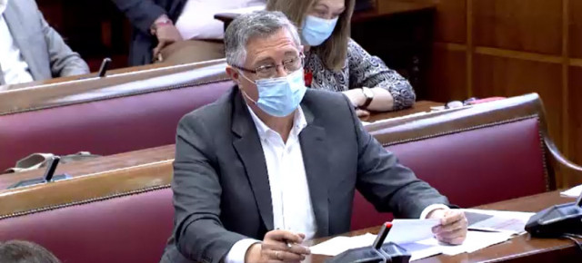 Manuel Blasco durante su intervención en la comisión de este miércoles