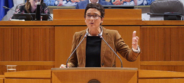 Ana Marín, en una sesión plenaria en las Cortes de Aragón