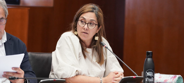 Susana Gaspar, portavoz de Sanidad del PP