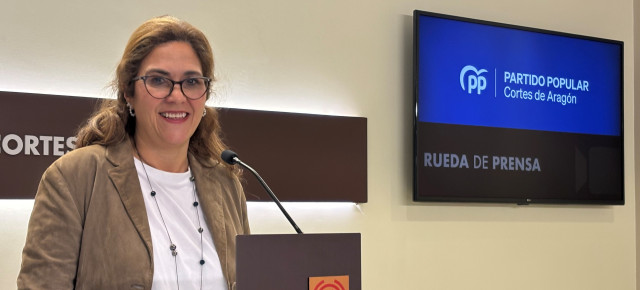 La portavoz de Sanidad del PP, Susana Gaspar