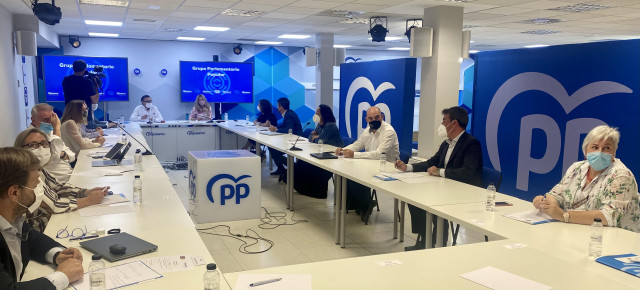 Reunión del Grupo Parlamentario del PP para hacer balance