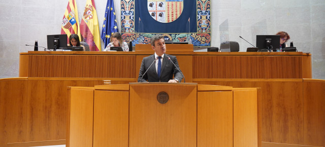 Lagüens, durante su intervención en el pleno de las Cortes