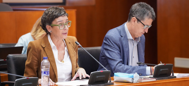 La portavoz adjunta del PP, Ana Marín